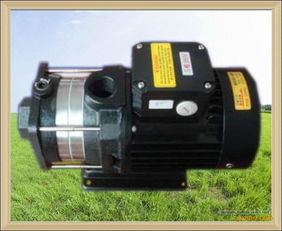 750w火花機抽油泵 惠州市惠城區(qū)固特機械設(shè)備廠